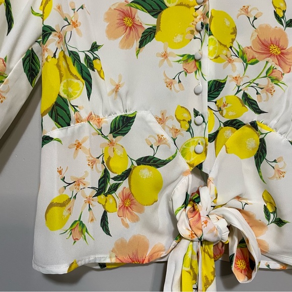 Adyson Parker Cover Up Cardigan Sheer Blouse‎ with Lemons - Picture 5 of 11